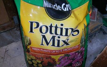 My potting mix doesn't absorb water very well.