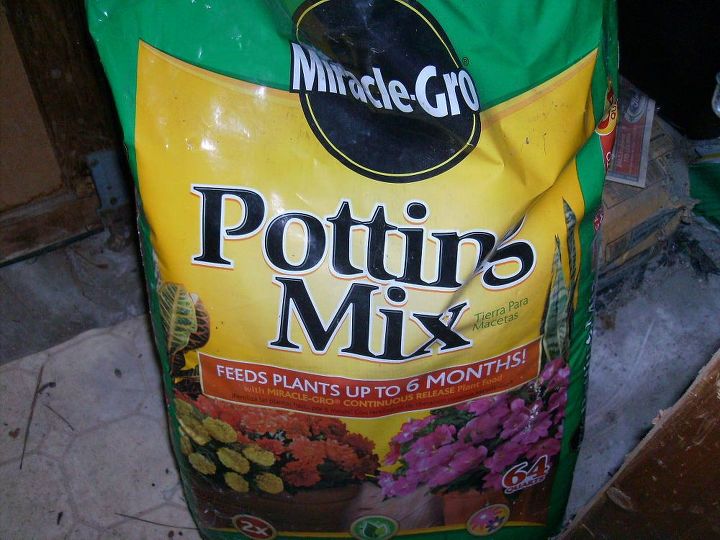 my potting mix doesn t absorb water very well