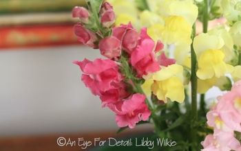The World of Snapdragons