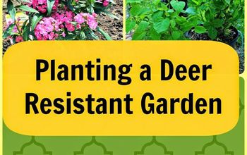 Planting A Deer Resistant Garden