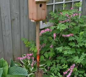 old shovel bird house stand, gardening, outdoor living, pets animals, repurposing upcycling