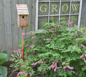 old shovel bird house stand, gardening, outdoor living, pets animals, repurposing upcycling