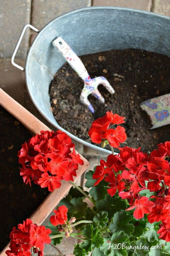 5 tips for beautiful mixed planters, container gardening, gardening, how to