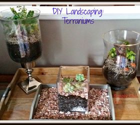 diy home landscaping terrariums, container gardening, gardening, home decor, terrarium