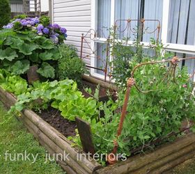 repurposed junk filled summer garden, container gardening, gardening, landscape, lawn care, repurposing upcycling
