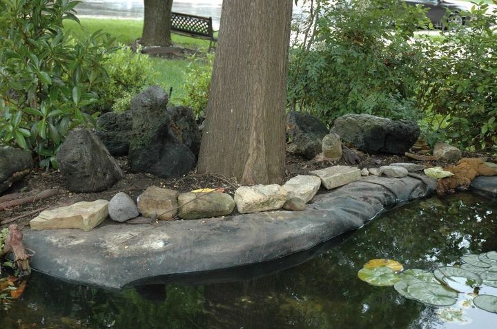 garden pond border redo, outdoor living, ponds water features