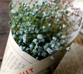 How to Naturally Dye Baby's Breath DIY Hometalk