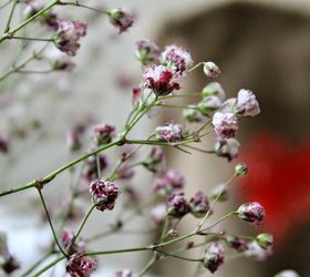 How to Naturally Dye Baby's Breath #DIY