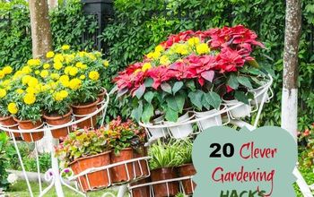  20 truques inteligentes de jardinagem para economizar tempo e dinheiro
