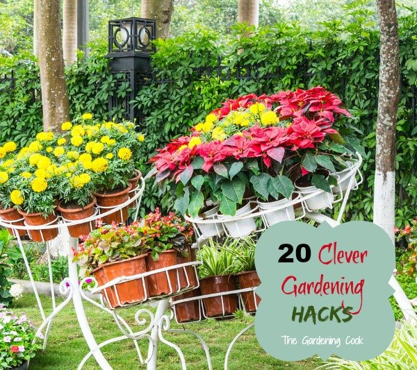 20 trucos de jardinera inteligentes para ahorrar tiempo y dinero