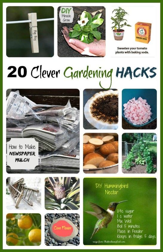 20 trucos de jardinera inteligentes para ahorrar tiempo y dinero