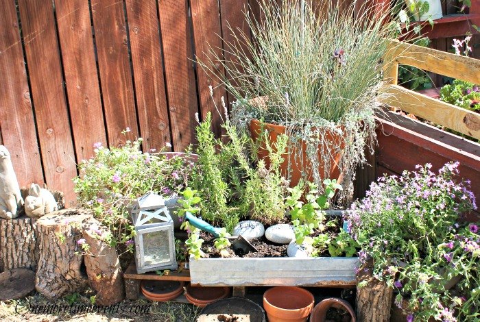 how to create beautiful yard vignettes, container gardening, gardening, how to, succulents
