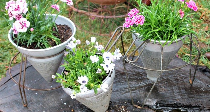 6 gardening ideas with vintage galvaized containers, container gardening, gardening, repurposing upcycling