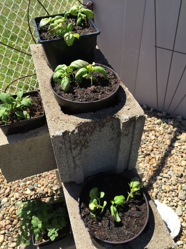 cinder block herb garden, container gardening, gardening, repurposing upcycling