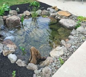 Backyard Fish Pond Installation Hometalk