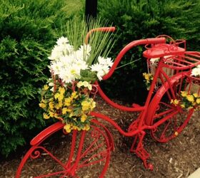 repurposed bicycle to garden planter, container gardening, flowers, gardening, repurposing upcycling, Finished and I love it