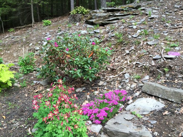 q ideas to cover up small slope in garden, gardening, landscape