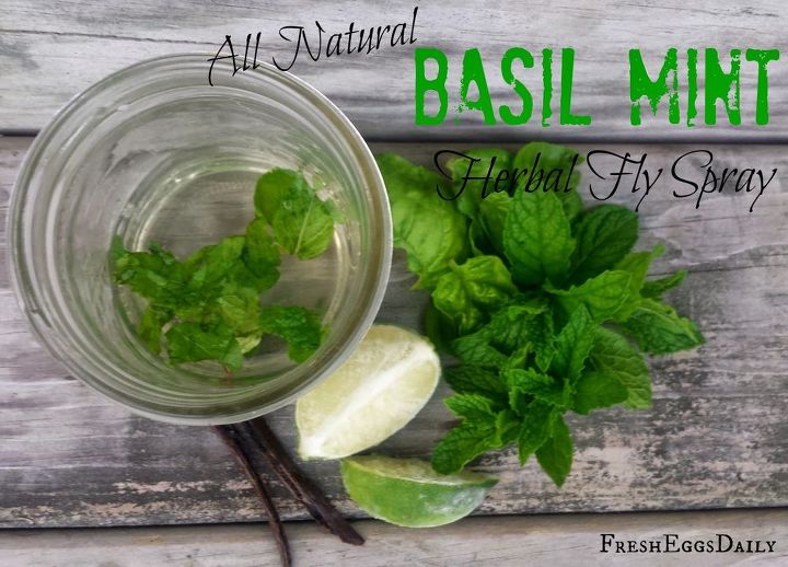 natural herbal fly repellent spray, how to, mason jars, pest control, repurposing upcycling
