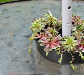 succulent patio table planter, container gardening, flowers, gardening, outdoor furniture, succulents