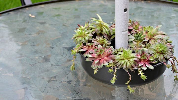 succulent patio table planter, container gardening, flowers, gardening, outdoor furniture, succulents
