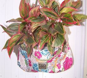 broken purse strap to planter, container gardening, gardening, repurposing upcycling, Perfect Potted Plant fit right in there