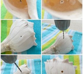 easy and unique seashell bird feeder, crafts, how to, outdoor living, pets animals, repurposing upcycling, woodworking projects