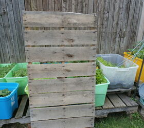 potting bench outside green house, gardening, outdoor furniture, pallet, repurposing upcycling
