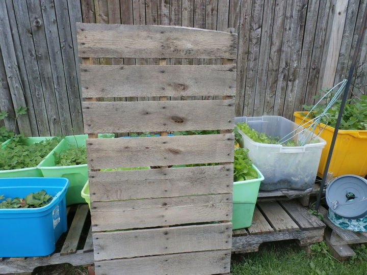 potting bench outside green house, gardening, outdoor furniture, pallet, repurposing upcycling