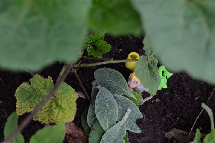 criando um jardim de fadas no jardim