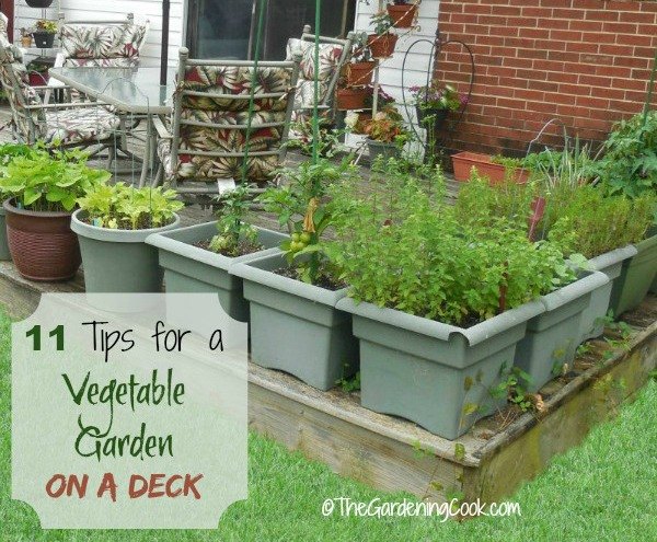 how to grow a vegetable garden on a deck, container gardening, decks, gardening, how to
