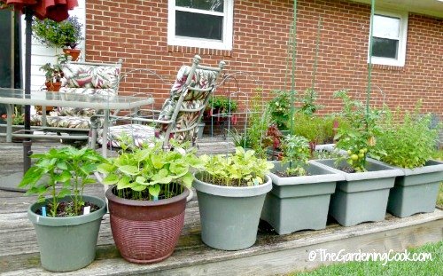 how to grow a vegetable garden on a deck, container gardening, decks, gardening, how to