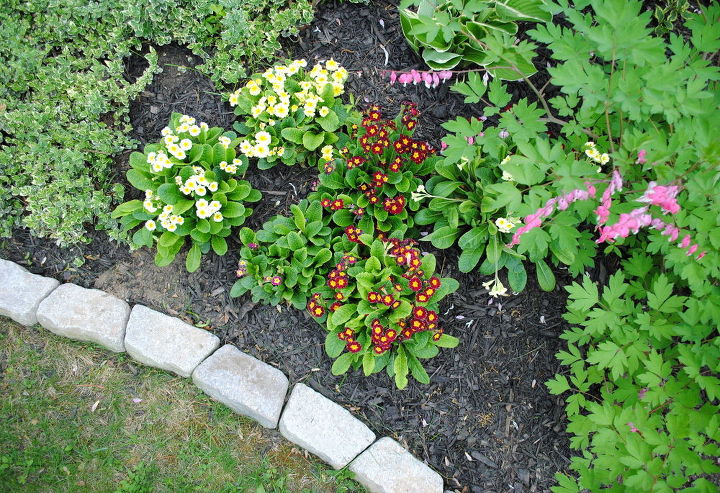 the perfect border for your beds defining a garden s edge with stone, concrete masonry, flowers, gardening, outdoor living, raised garden beds