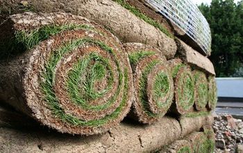 What Does It Cost To Resod A Lawn?