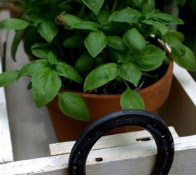 horseshoe handled herb box our fairfield home and garden, container gardening, gardening, how to, repurposing upcycling, woodworking projects, Horseshoe Handled Herb Box