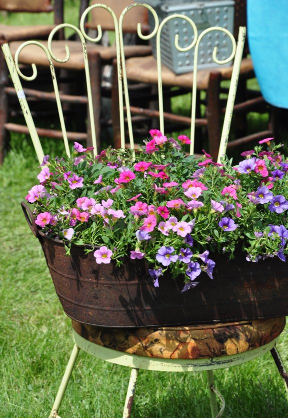 repurposed old bedpan to plant container, container gardening, flowers, gardening, repurposing upcycling