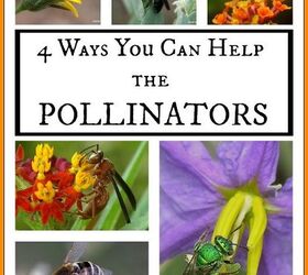 4 ways you can help the pollinators, flowers, gardening, landscape