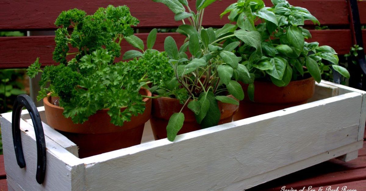 Horseshoe Handled Herb Box Our Fairfield Home And Garden Hometalk