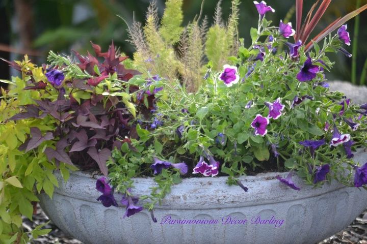 quick and easy planter refresher, container gardening, flowers, gardening