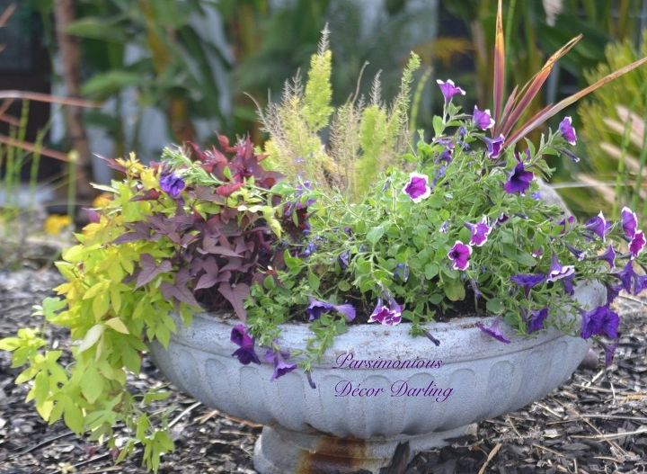quick and easy planter refresher, container gardening, flowers, gardening