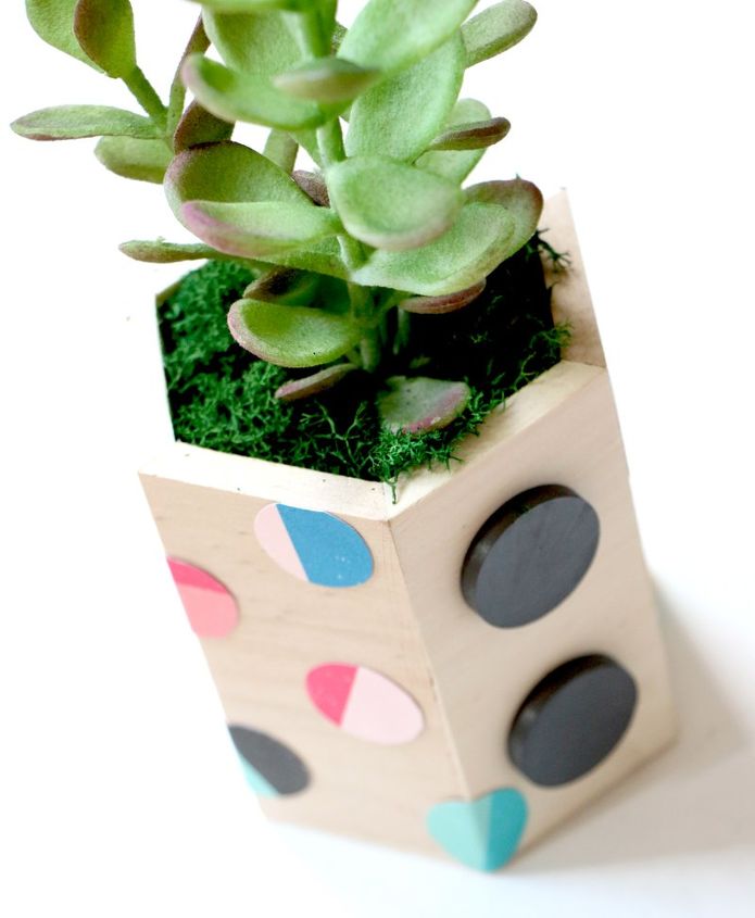 diy magnetic hexagon planters, container gardening, crafts, gardening, home decor, how to
