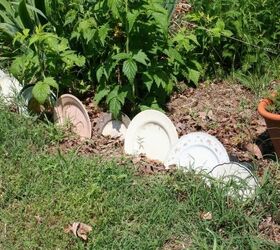 clever garden edging ideas, concrete masonry, gardening