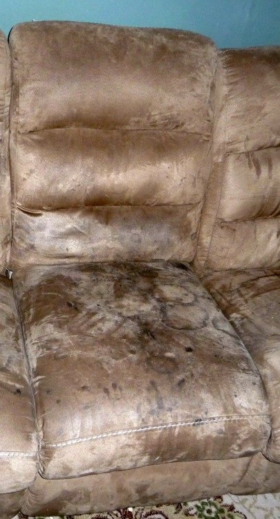 limpieza de un sofa de microfibra de la manera ecologica