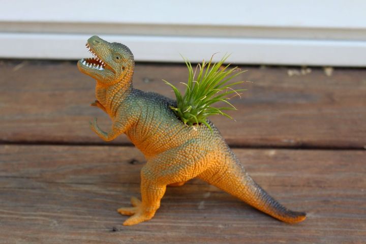 jurassic park inspired air plant holder reuseit, container gardening, crafts, gardening, how to, repurposing upcycling