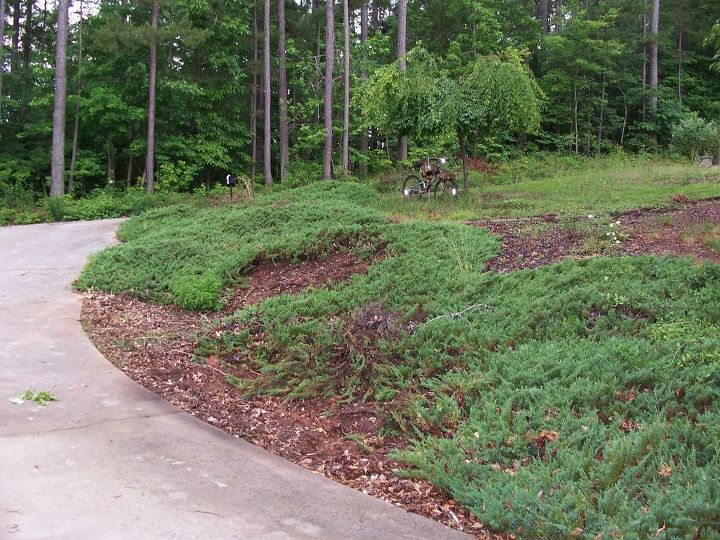Soil erosion ground cover Hometalk