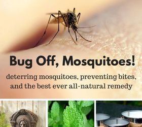All Natural Bug Spray Recipe