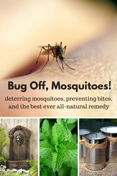 receita de repelente de insetos natural