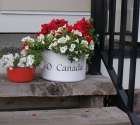 o canada canada day porch planter, container gardening, flowers, gardening