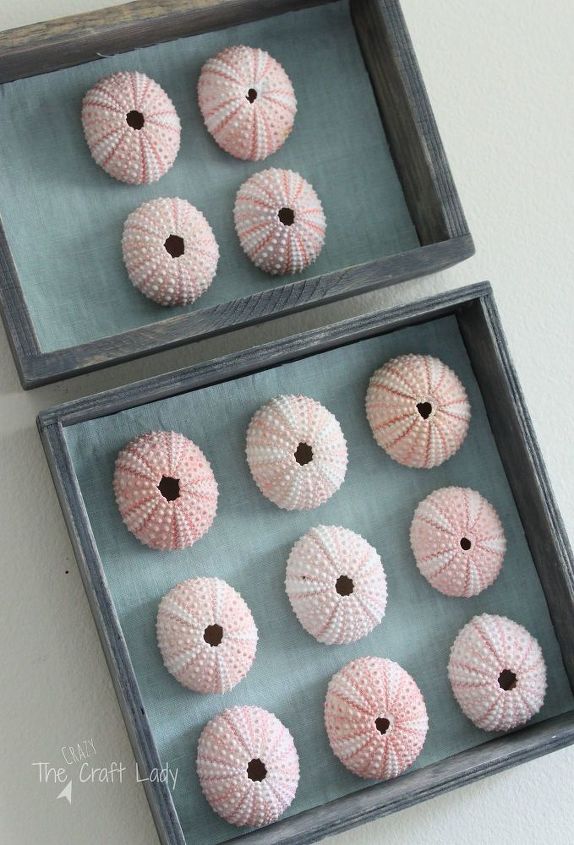 diy sea urchin specimen art, crafts, how to, repurposing upcycling, wall decor