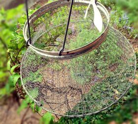vintage egg basket hanging planter, container gardening, crafts, gardening, repurposing upcycling