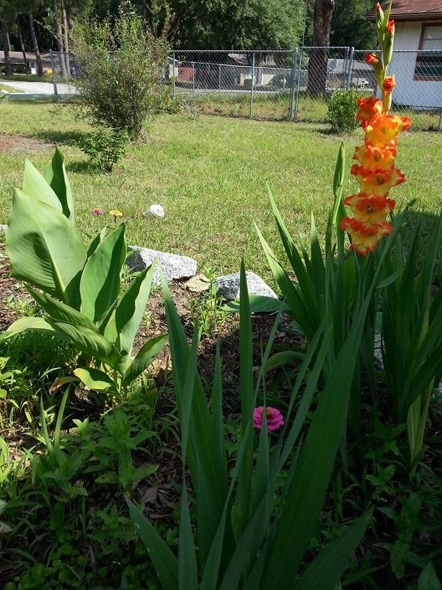 front yard and backyard gardens, flowers, gardening, outdoor living